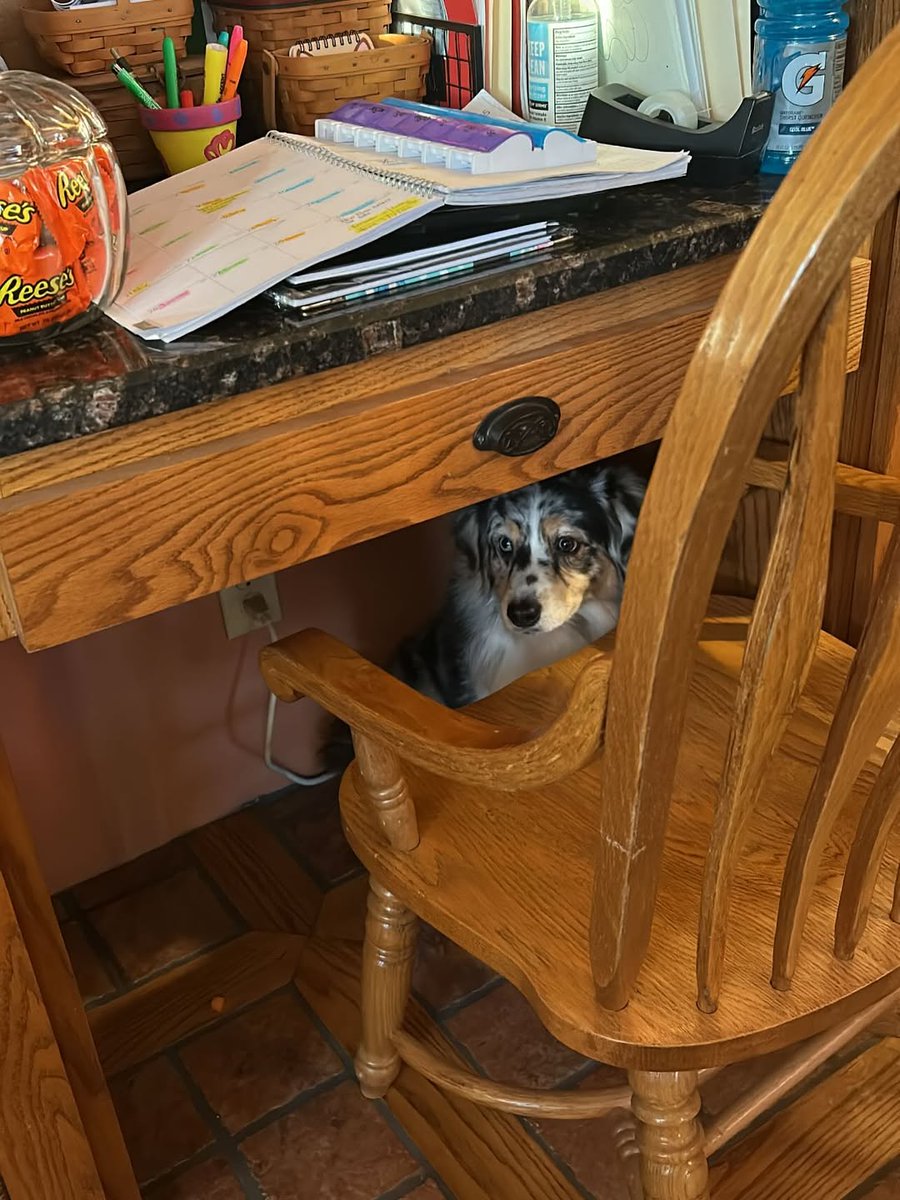 female_ranch60's tweet photo. Anna and Clark have been enjoying the cozy weather 🥰😊 https://t.co/1i5ZShTRMh