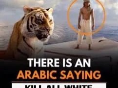 PraiaLive's tweet image. 