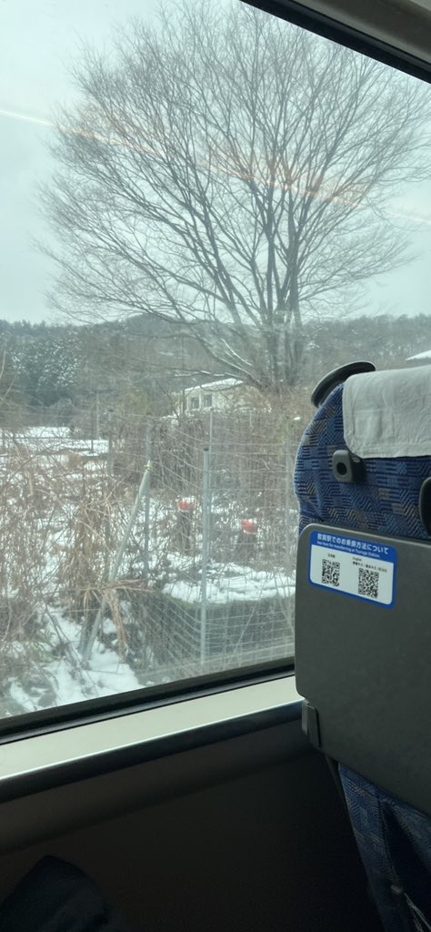 めちゃくちゃ雪⛄️