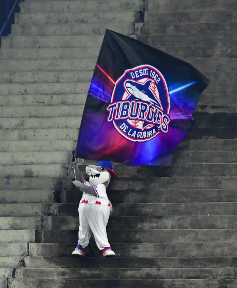 Tiburones Siempre…