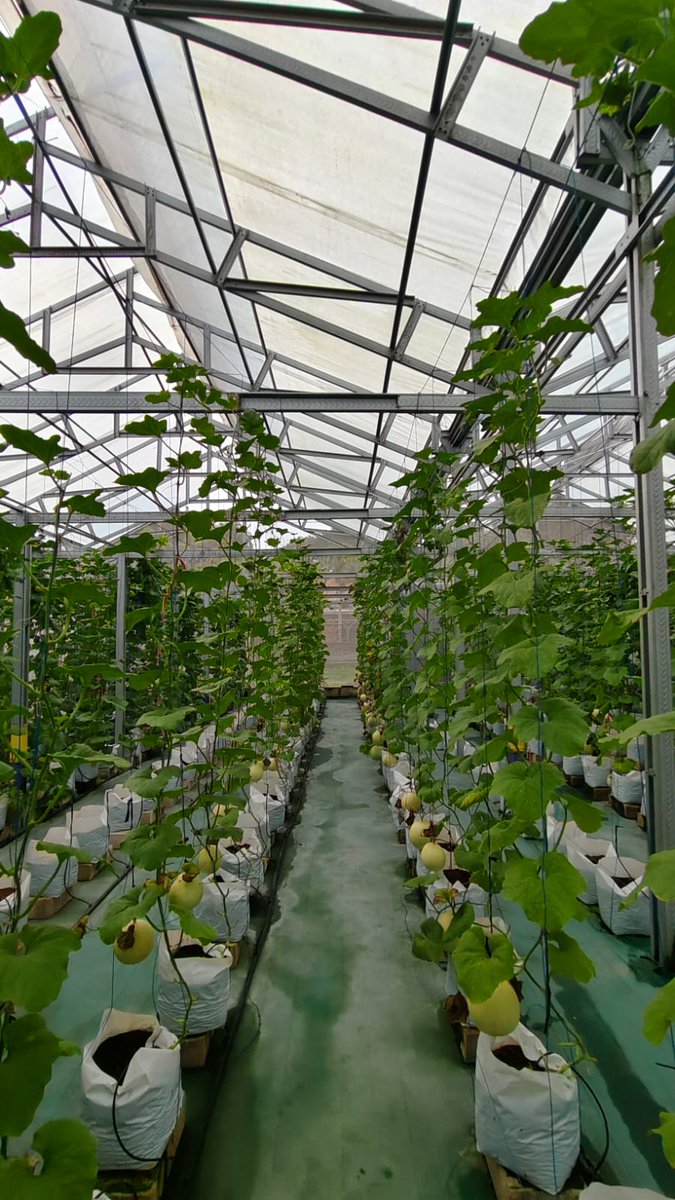 Niaa Khadeeja tweet media