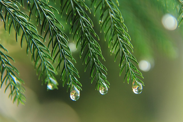 Jack Noemie tweet media