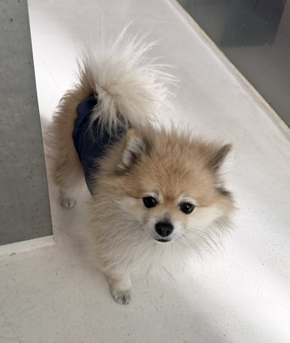 にこまる (@6yQgZFNMNk76215) / Posts / X