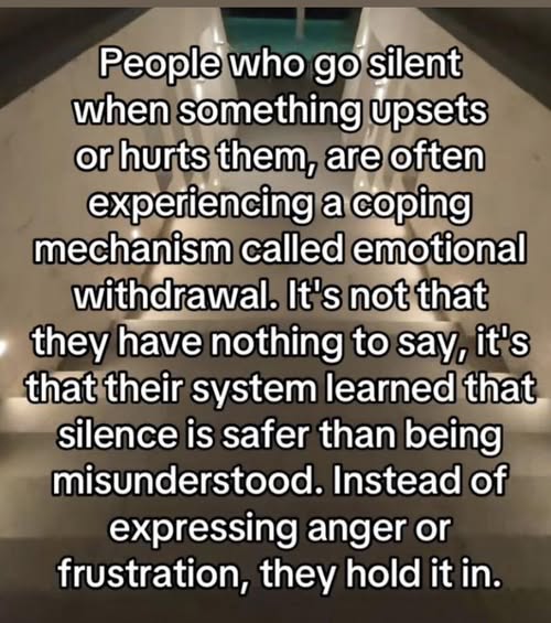 NoNonsenseND's tweet image. 