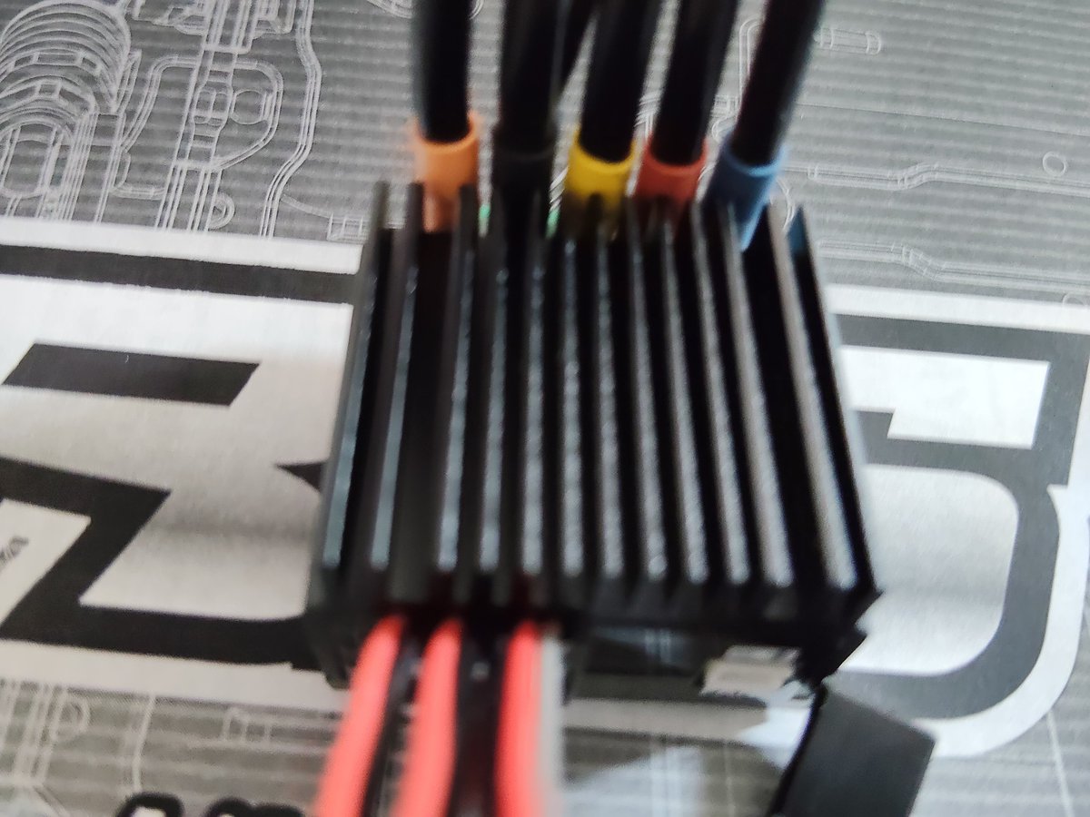 ⭐︎カメ⭐︎ NTC 日本のカメ 特装版 – ネイチャーテクニカラー公式