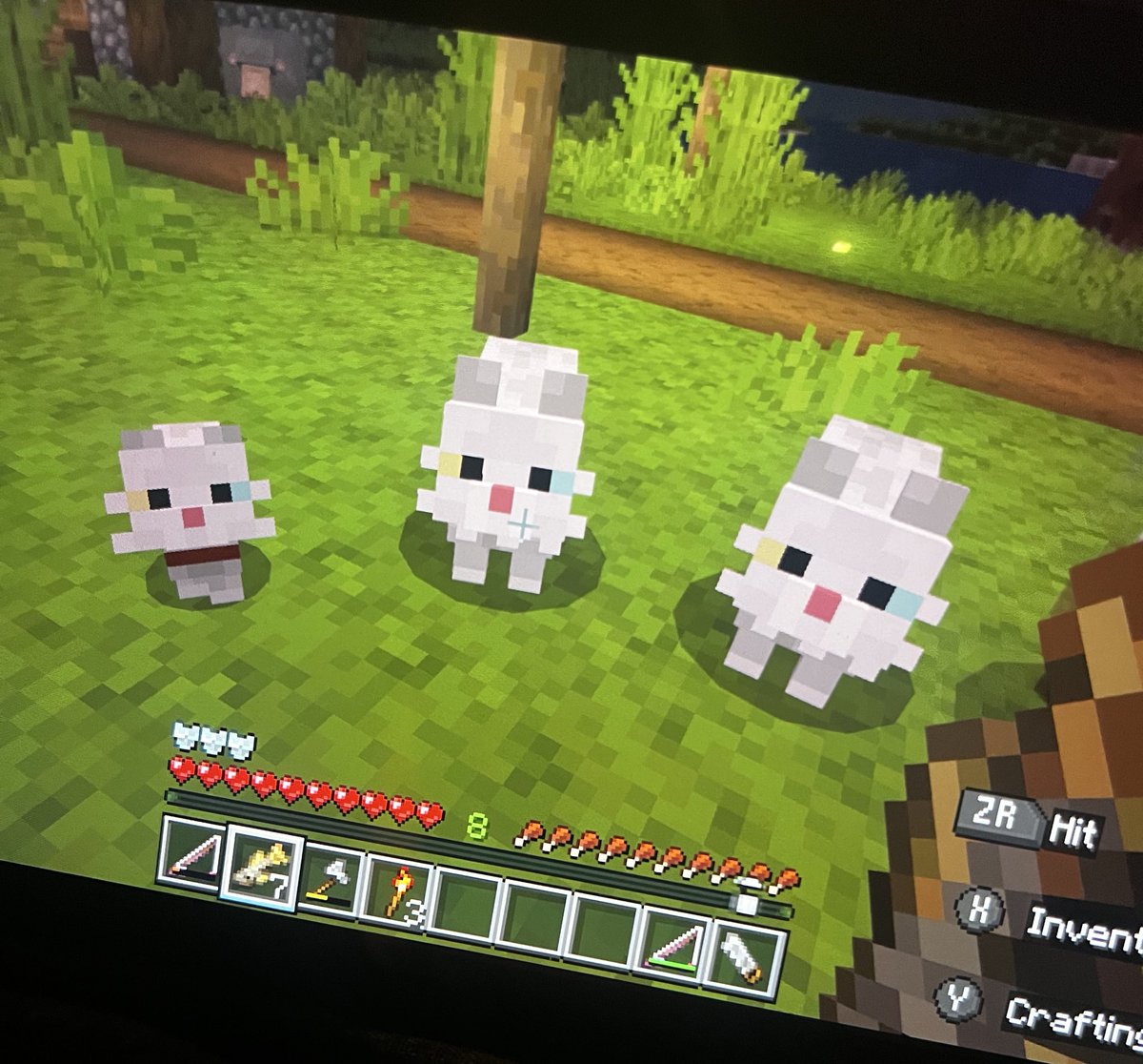 zephinhell's tweet image. ive adopted 3 cats in minecraft, dont talk to me or my children ever again