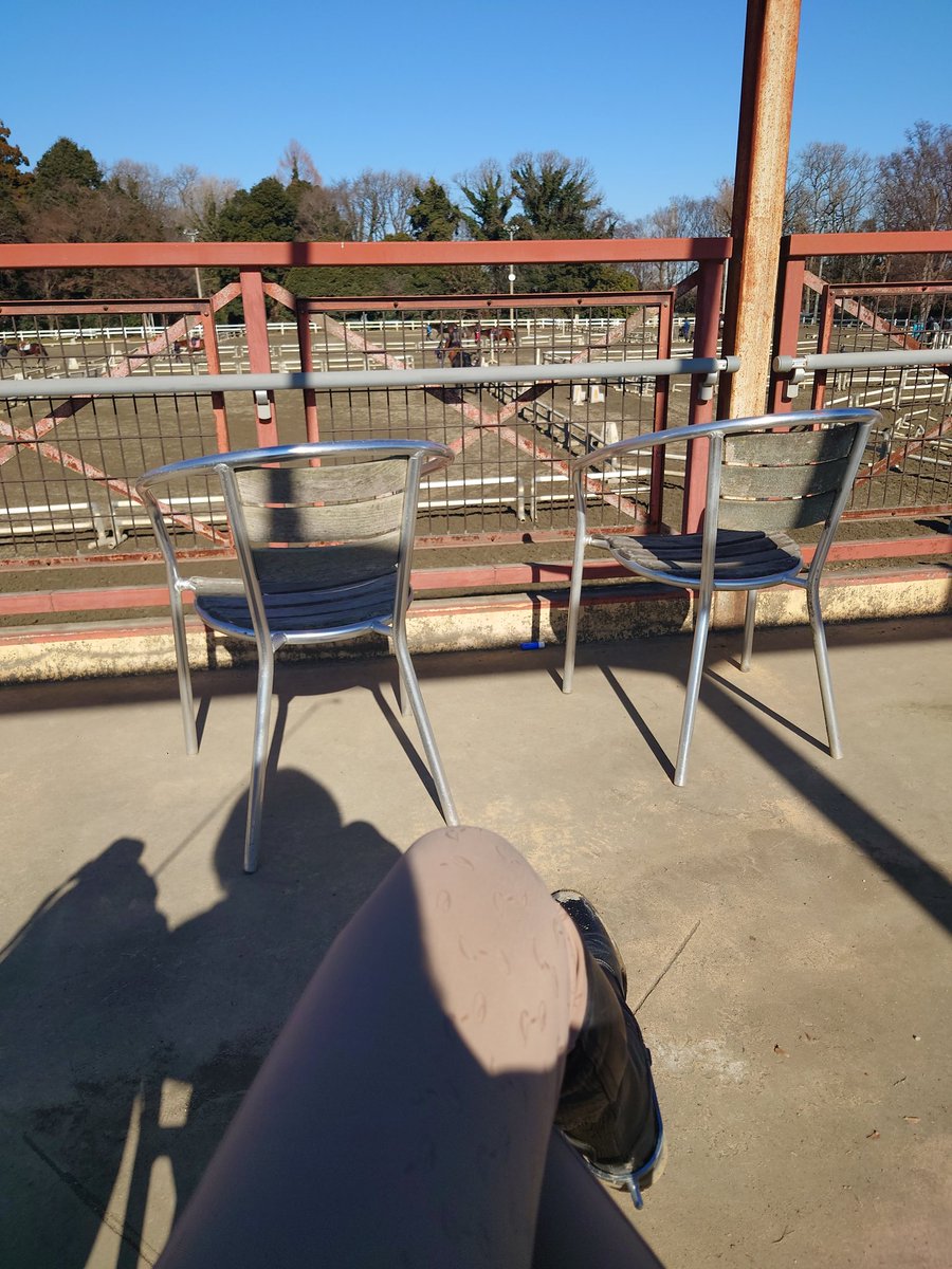 セノママ (@srsn0913) / Posts / X