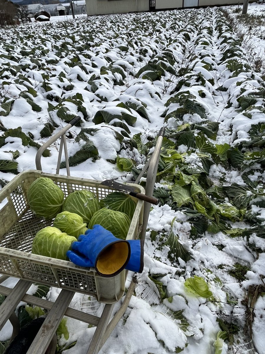 ごんママ (@38LZJAEN3d7Fyep) / Posts / X