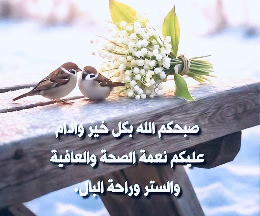 الخنساء (@umahmed3333) on Twitter photo 
