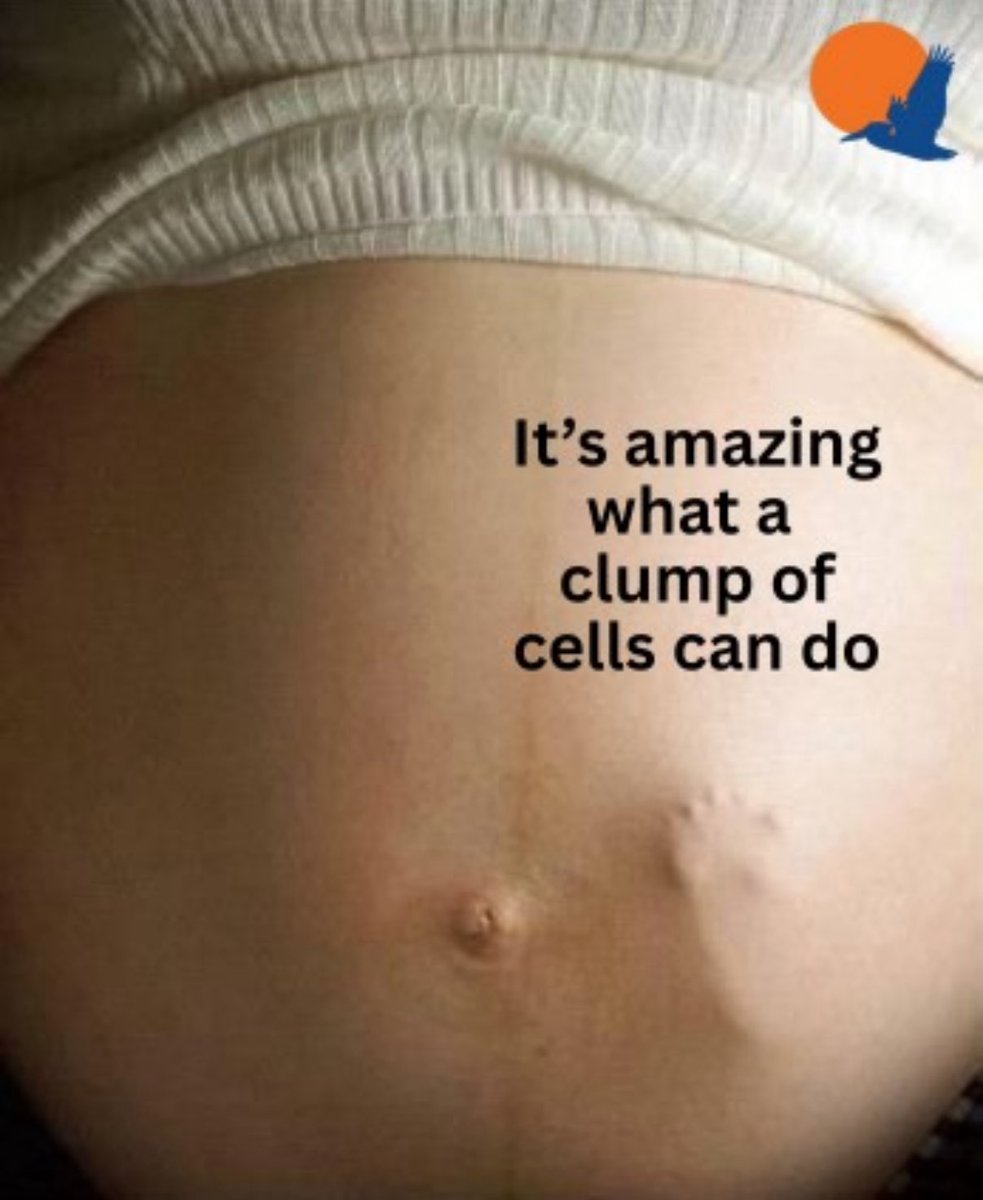 BryanKemper's tweet image. 