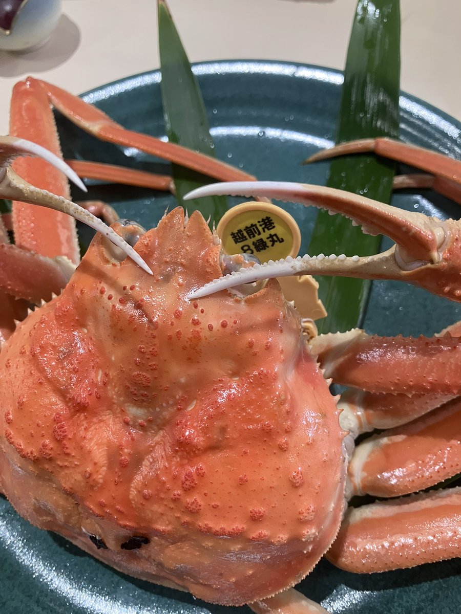 幻の‥⭐　ピックパト✨️ Big Bang / Bigbang Genesis Takara Tomy Gatinko Burst Rise GT