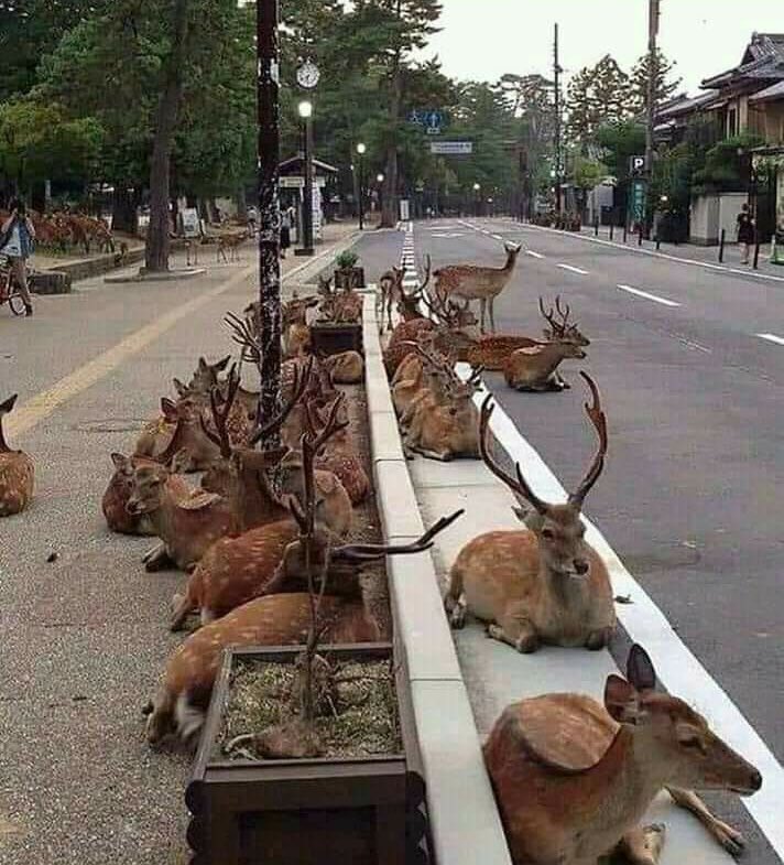 Agatha Chocolats tweet media