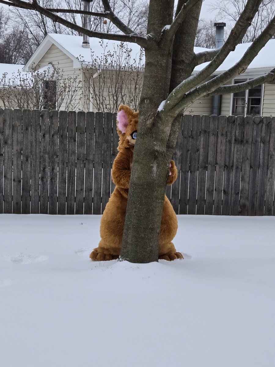 Knoton's tweet photo. First snow in new fursuit https://t.co/PjsIjwqVZj
