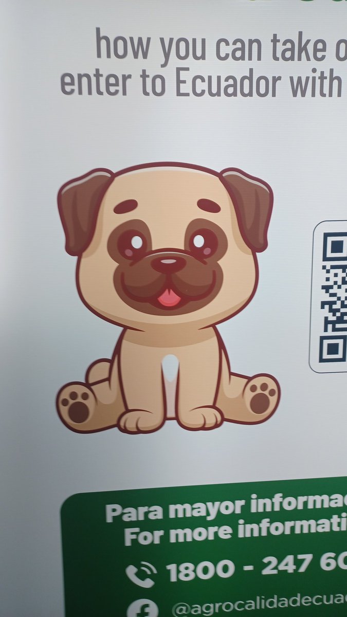 ForSubways's tweet image. Pets of ecuador white car