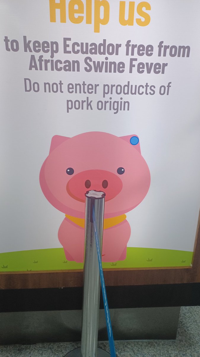 ForSubways's tweet image. Pets of ecuador white car