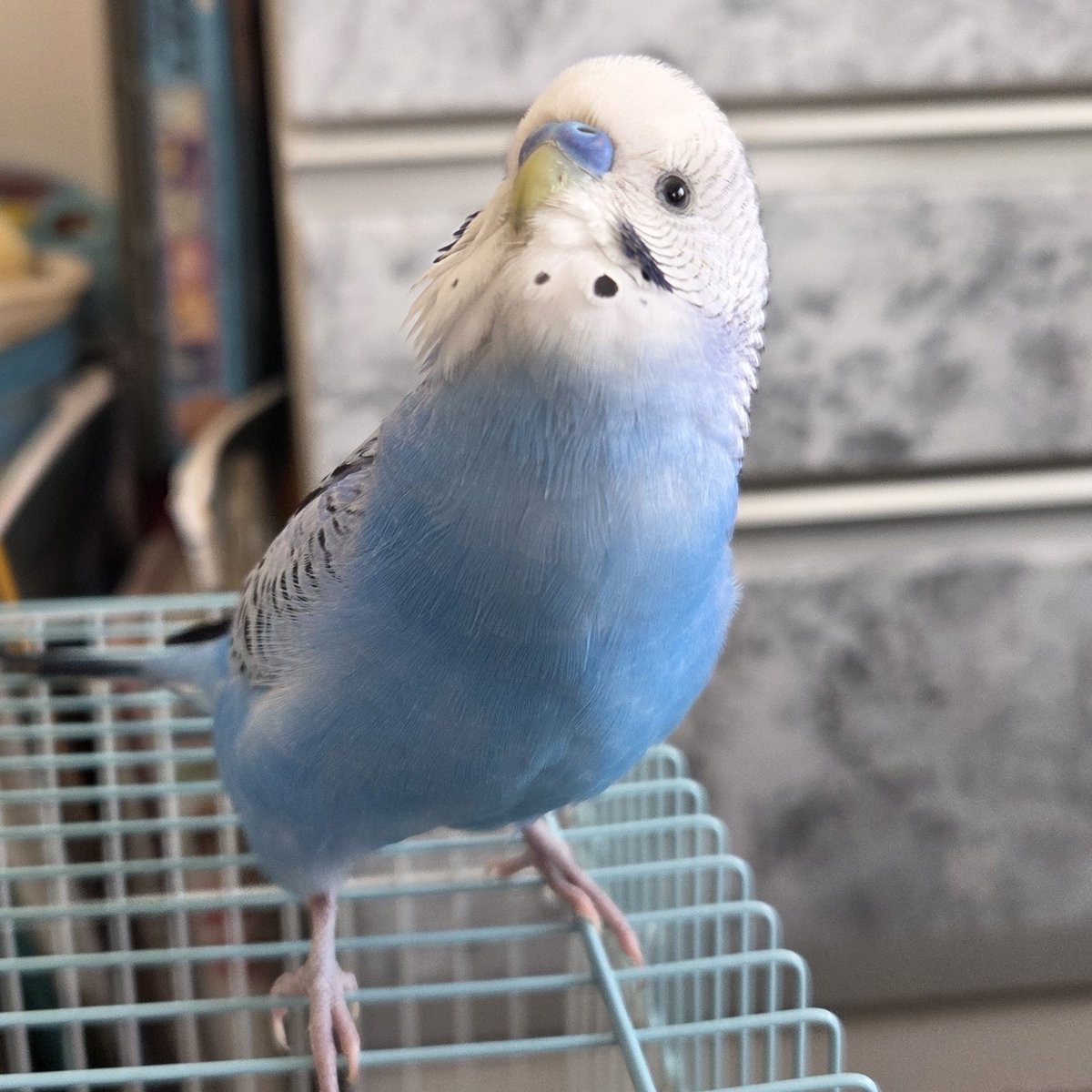 みるきー (@milkyma2) / Posts / X