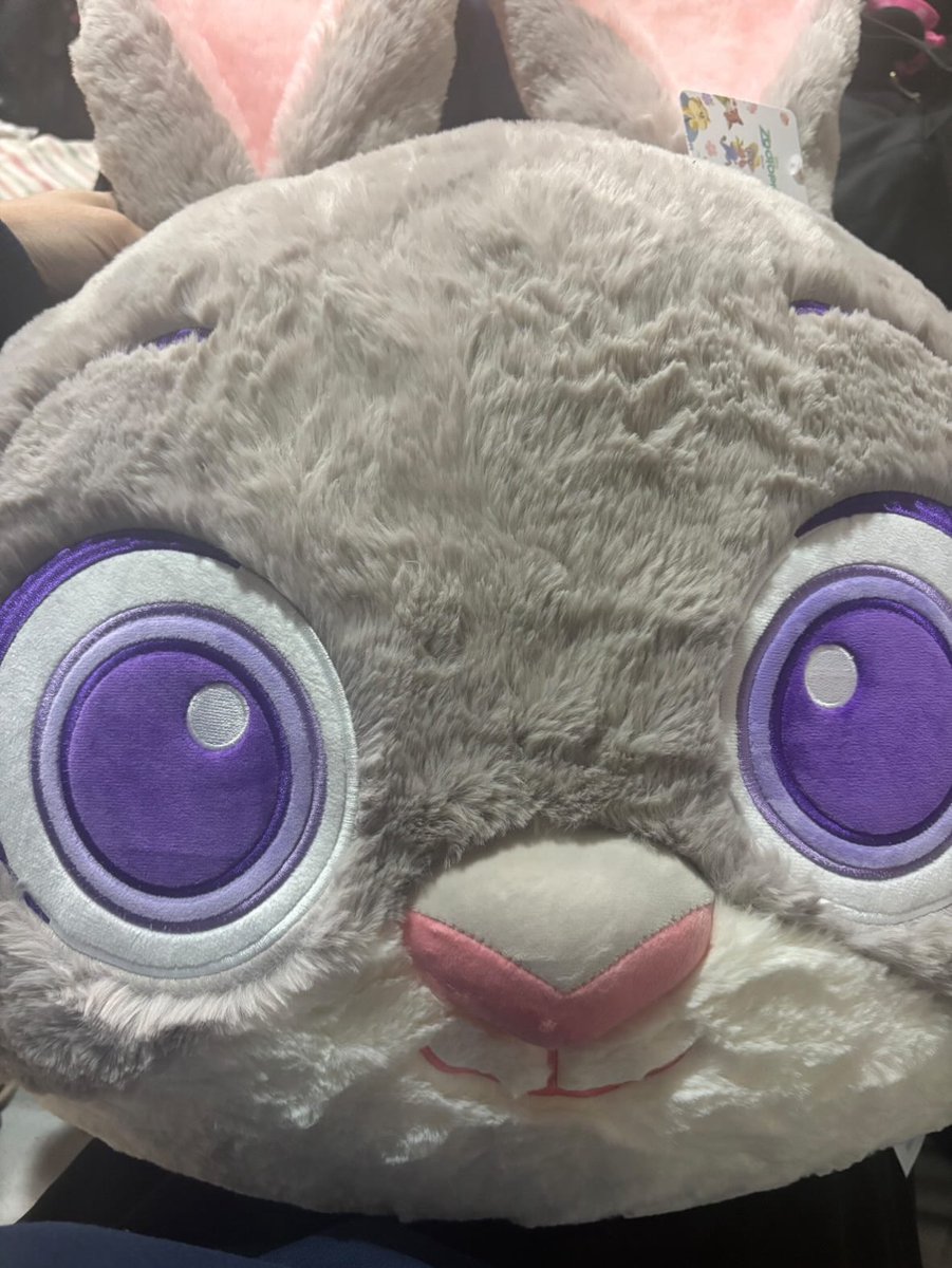 コストコ ズートピア クッション 2個セット コストコ！ズートピアの