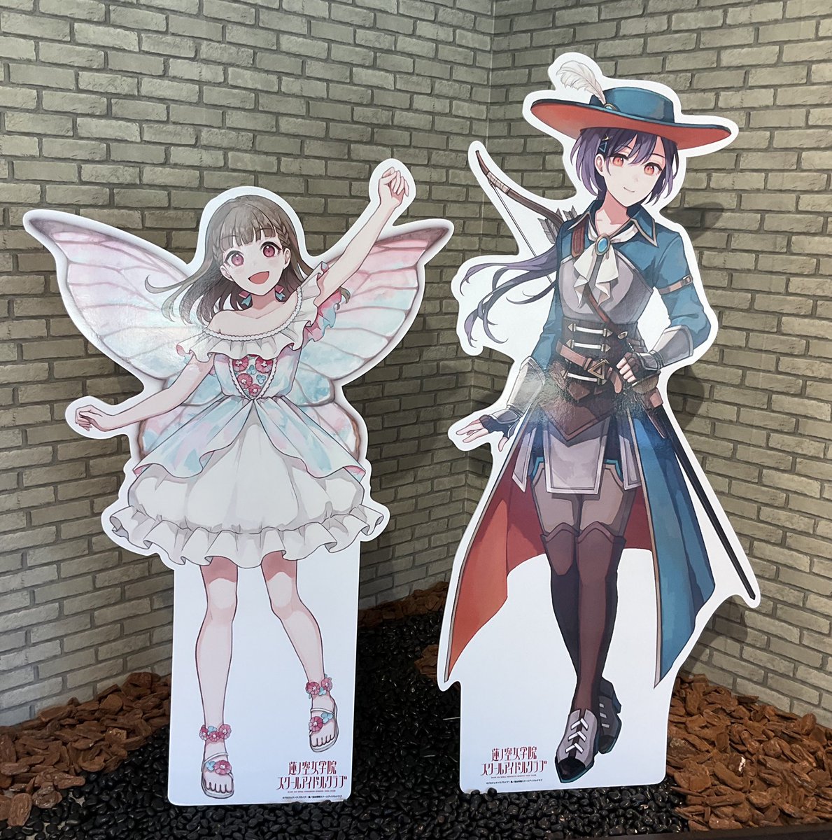 はいもう既に可愛い