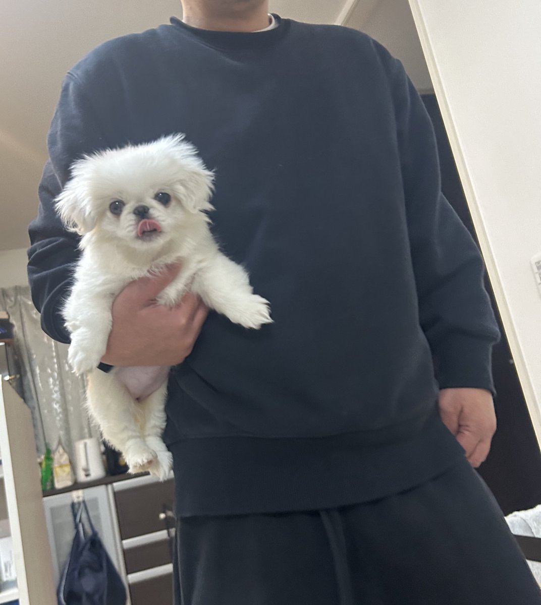 はむちゃん (@_im9040_) / Posts and Replies / X