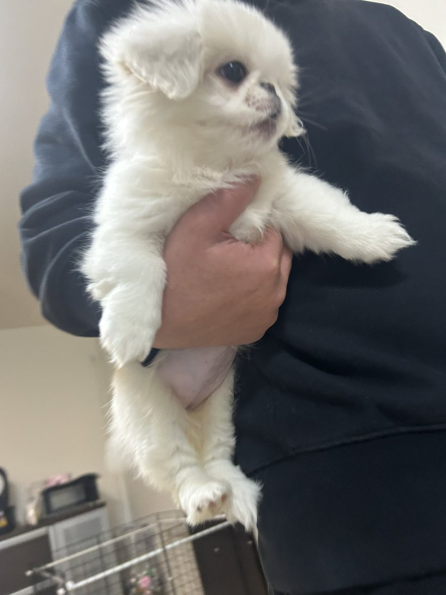 はむちゃん (@_im9040_) / Posts and Replies / X