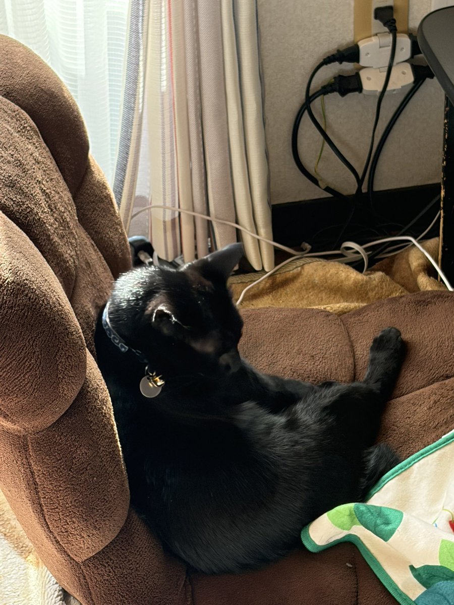 人間みたいに座りながらくつろいでて
笑った