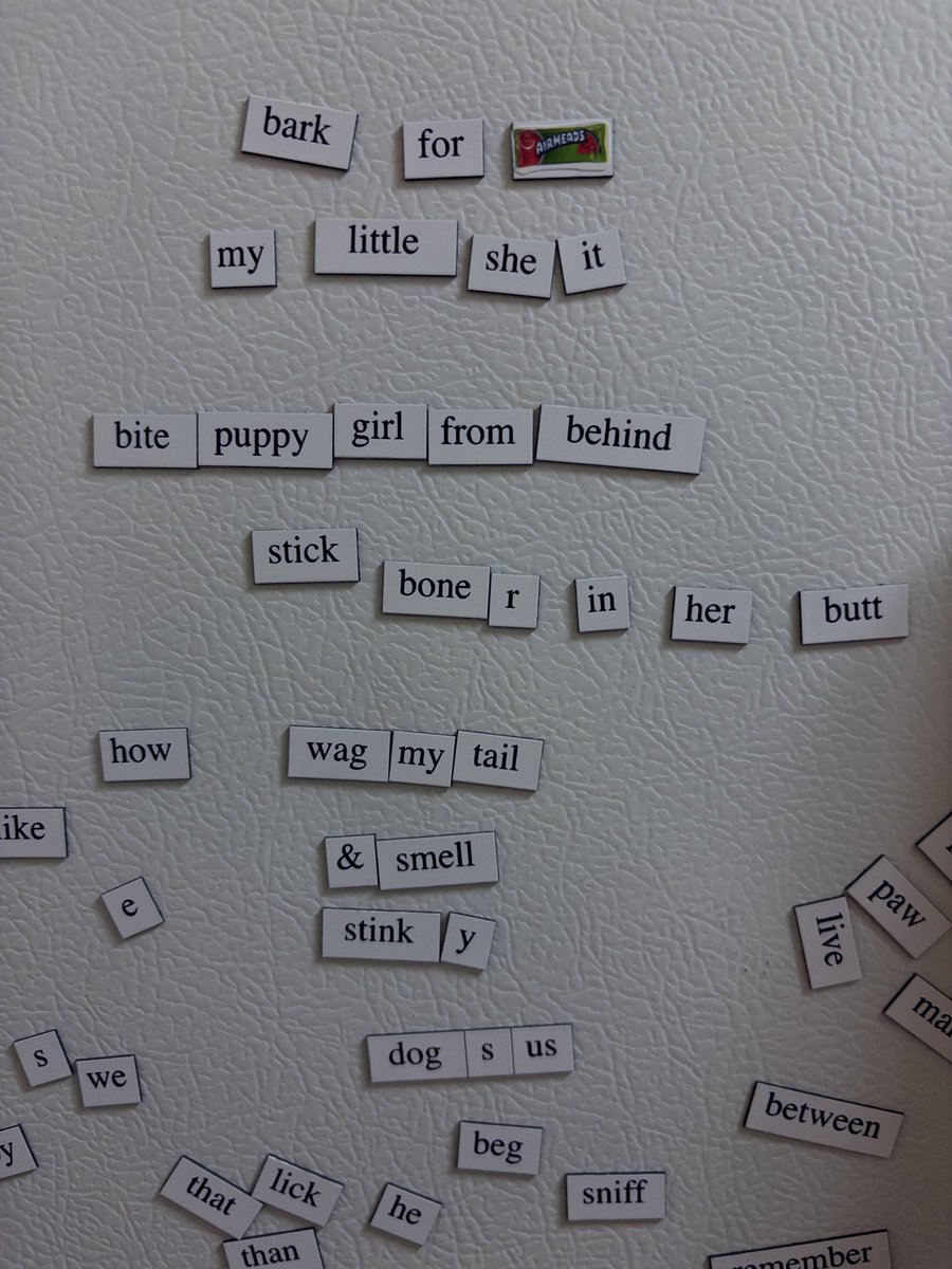 kat_moder_'s tweet photo. i finally got those magnets 😅 https://t.co/G2lYSb9V7f