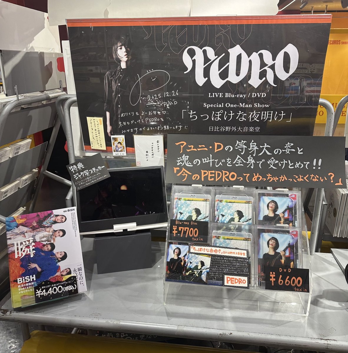 PEDRO】 『Special One-Man Show 「ちっぽけな夜明け」 日比谷野外大