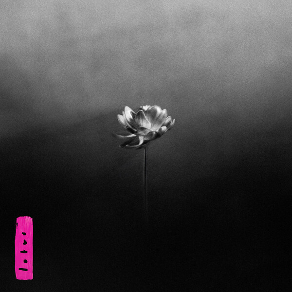 charaf3ddine's tweet photo. 28. OPN - Tranquilizer

I lied, this is my ambient album of the year

27. Big Thief - Double Infinity

Modern folk classic. I'm convinced this was made in space, outside of the concept of time. Adrienne Lenker and Big Thief can do no wrong.

26. Little Simz - Lotus

Another phenomenal record from the UK's best rapper. A tad bit more soulful and jazzy but still as gritty as it should be expected from Simz.

25. key vs. locket - i felt like a sketch

Beautiful Midwest emo album. Not one song was boring or lackluster.