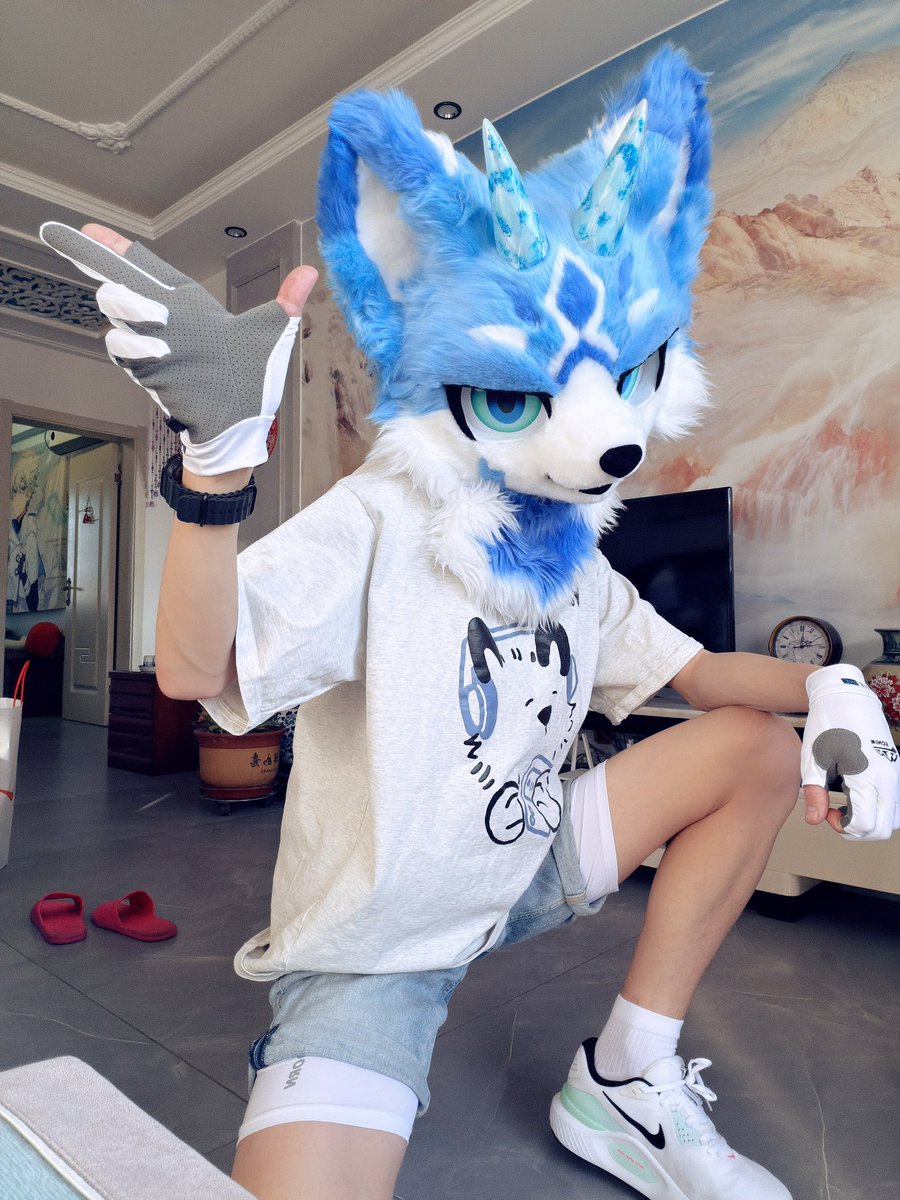 Little fox tweet media