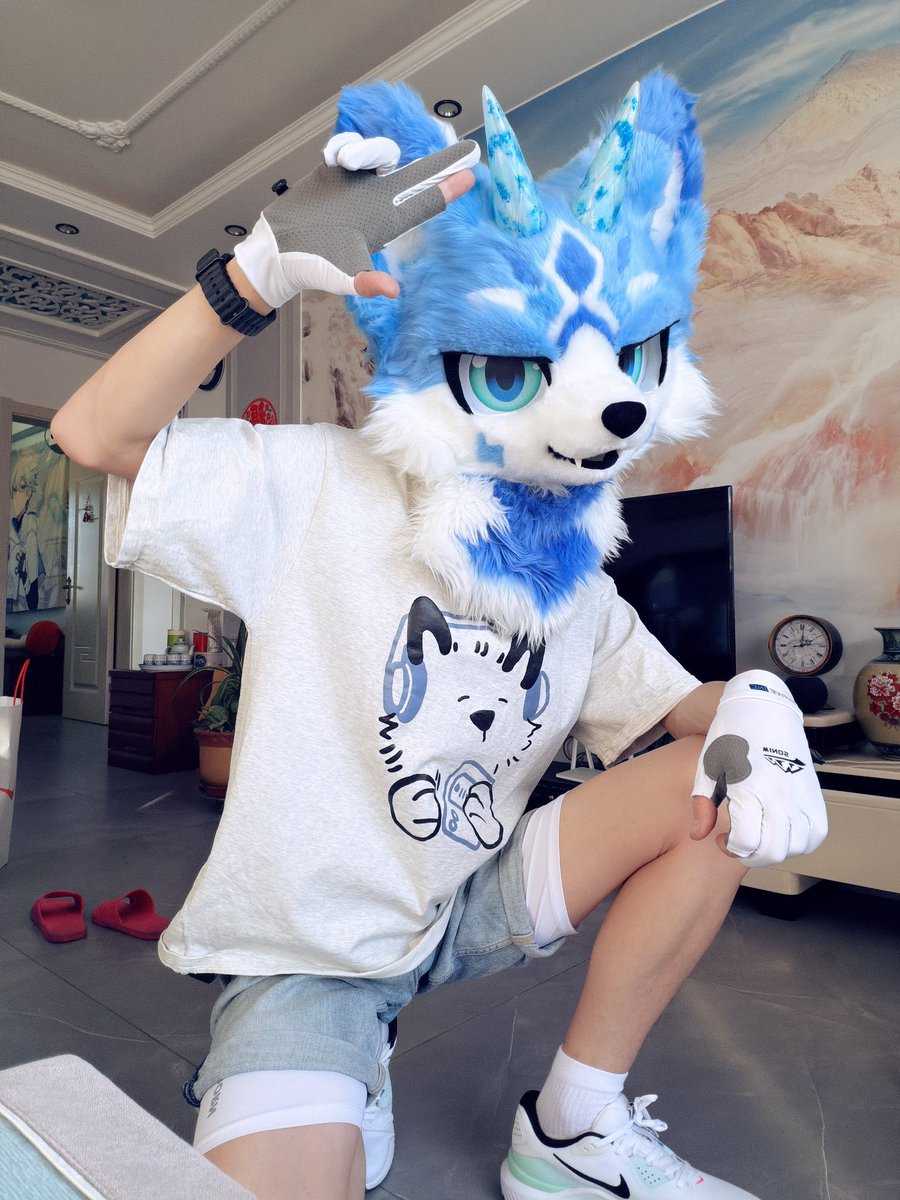 Little fox tweet media