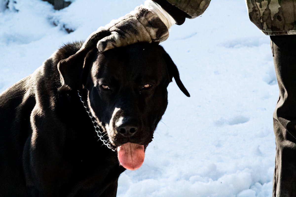 0.11668 bitcoin to usd (13) 사진