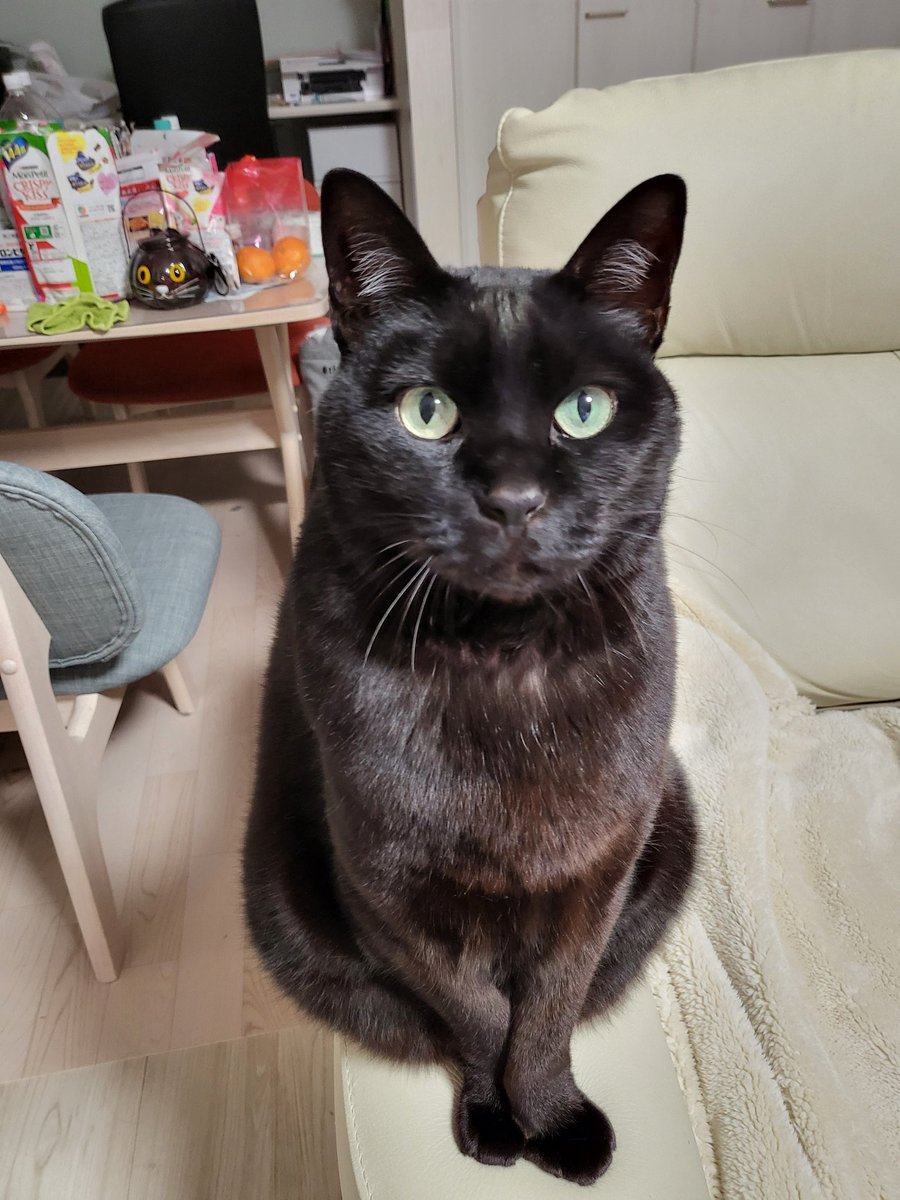 ♥大好き♥で大切なフォロワーの皆さんへ♥》 こんにちは。 今日は、此