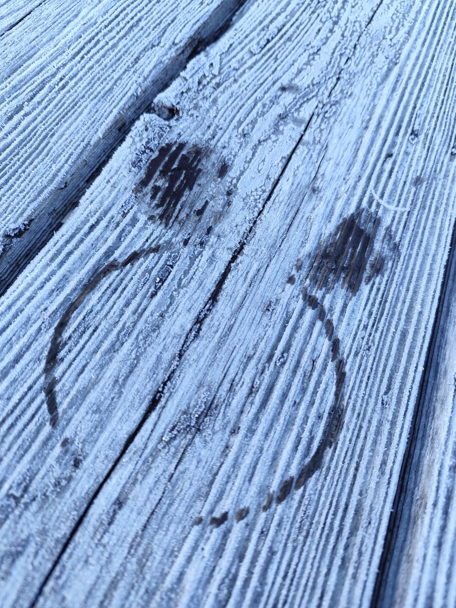 画像1.2 まめぱんださん専用 凍える早朝に探鳥地で見付けたパンダさん。🐼 レンズフードとドット