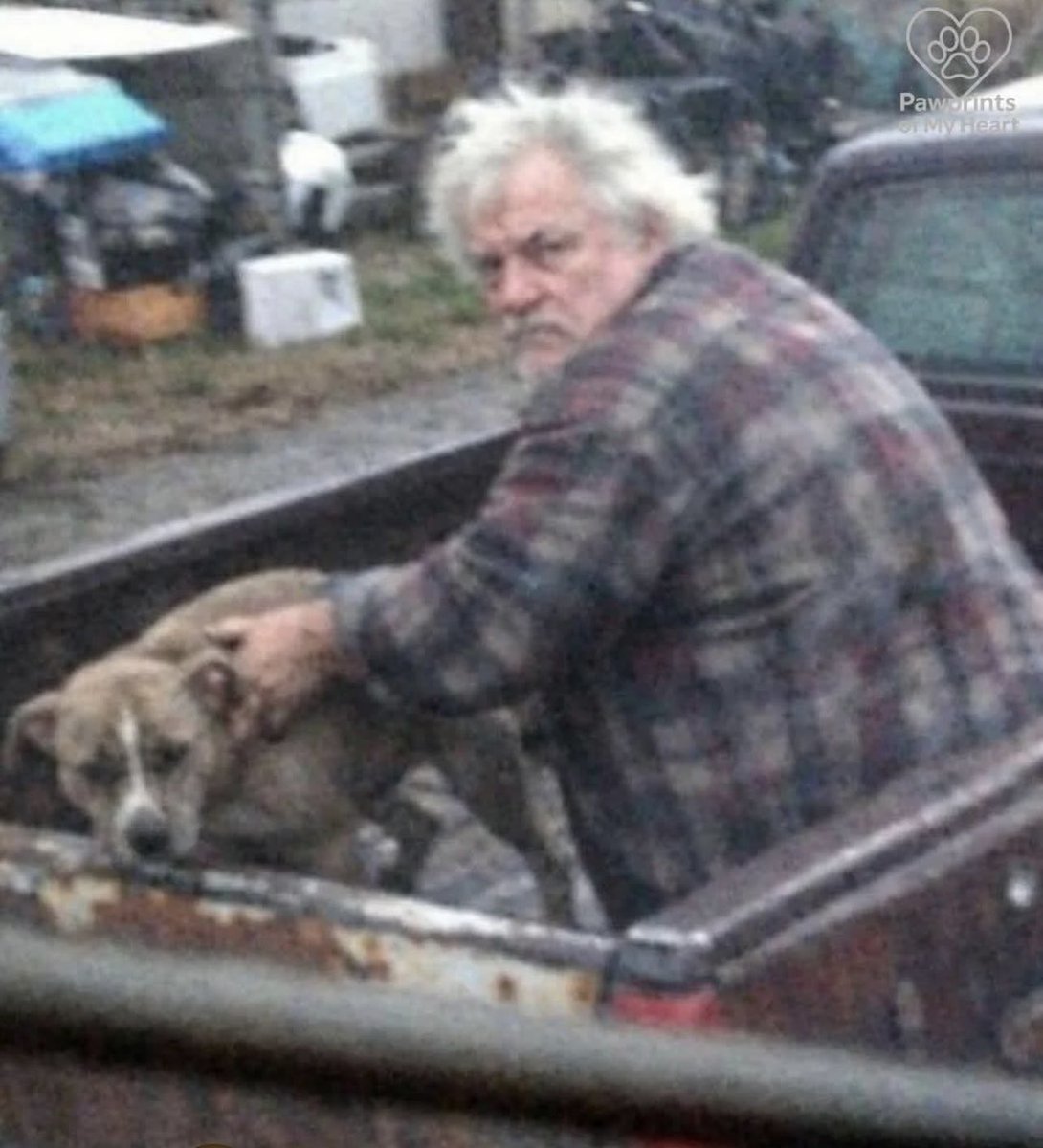 The neighbors call the cops on my dad every six months. They think he’s running a fighting ring or flipping pets for profit. For years, I wasn't sure they were wrong.

My father, Frank, is a man of few words and even fewer friends. He lives on a fixed income in a small, weathered