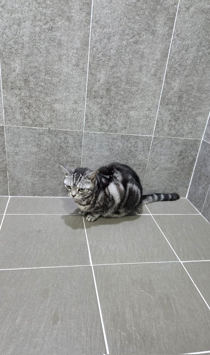 자기가 따라 들어와놓고선 곤란해 하는 중