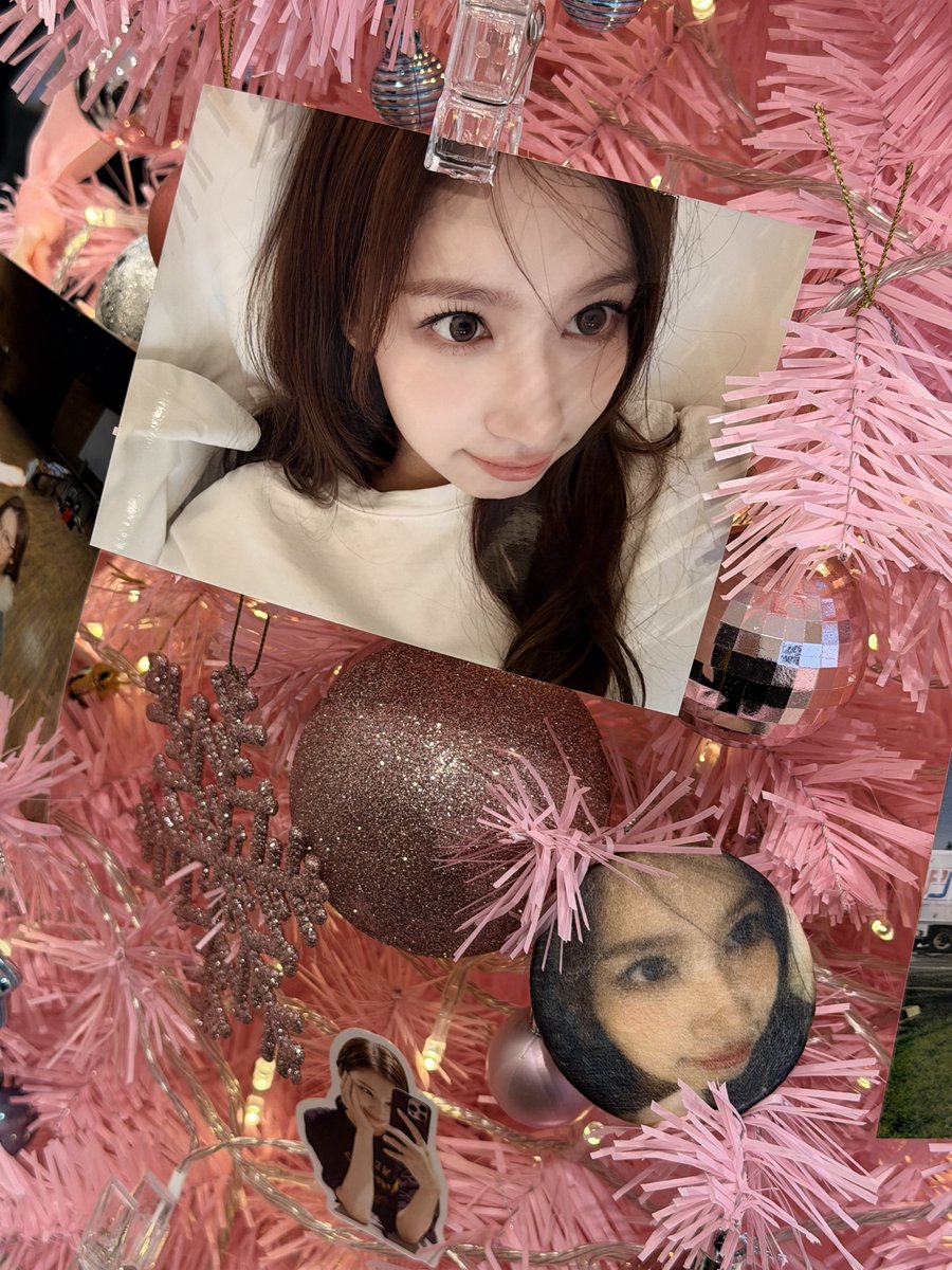 KCl ฅ^•ﻌ•^ฅ tweet media