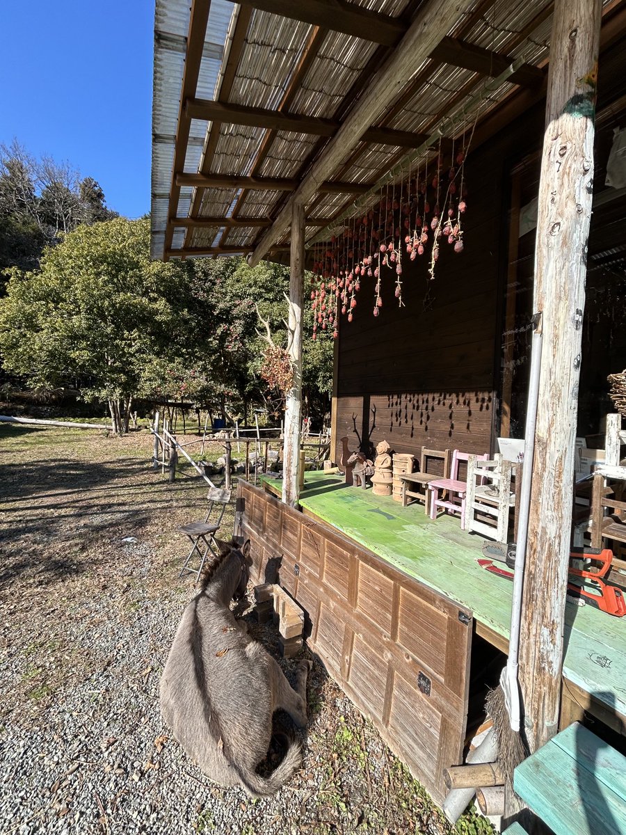 ツルキミ (@TJo95V15kl35013) / Posts / X