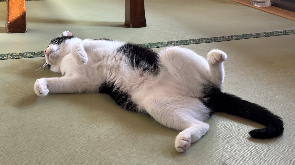 金太＠🏍z400🏍 (@kinta_gsx_s125) on X