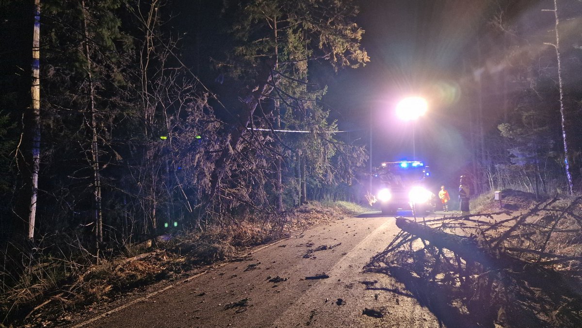 #Hannesmyrsky jälkiä korjaamassa #Espoo