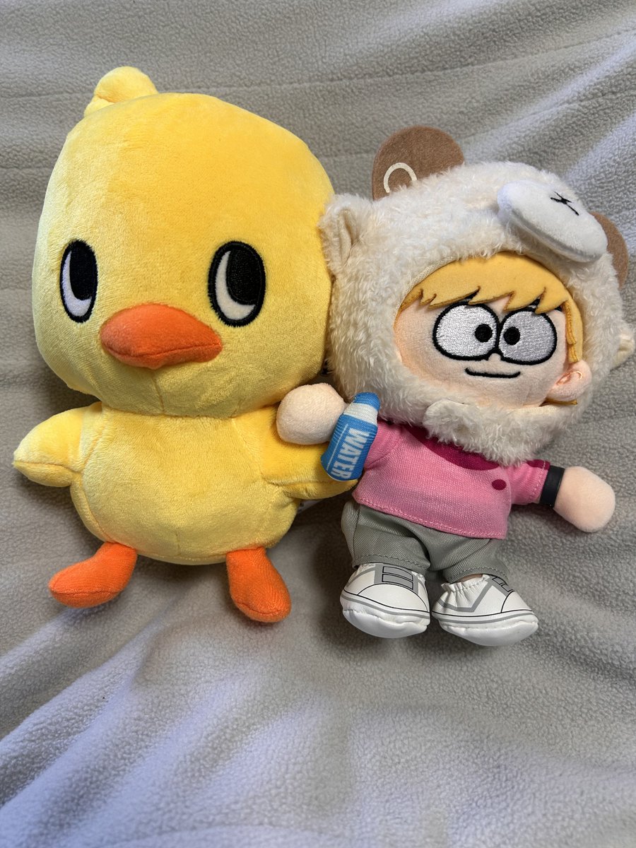 ひよこちゃん昨日注文してもう届いた🐤