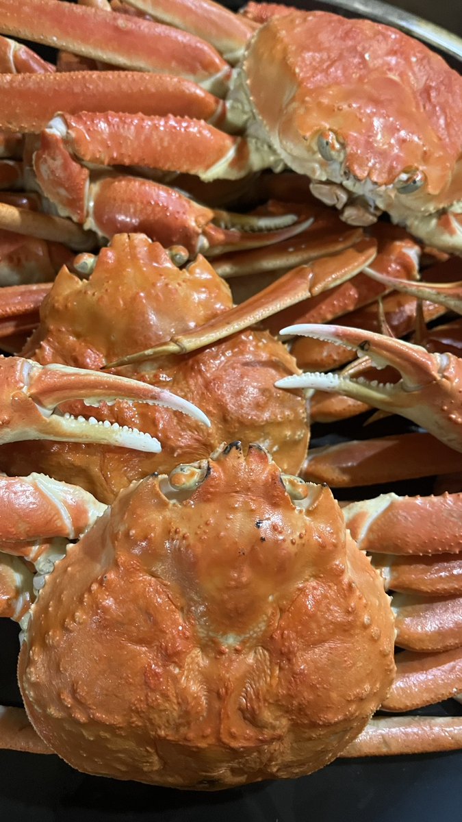 今年は帰省しないから僕の代わりに蟹を帰省させたんだけど
写真送られてきたから蟹が食べたくなってきた、、😢
ポチるか非常に悩ましい、、