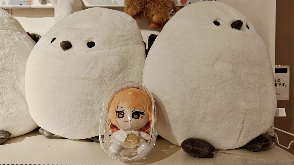 2月7日のりこちとトリコの2ショット be kike: #りこのトリコ #MottoRico