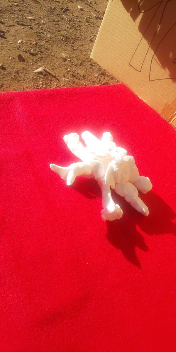四年生キッズが作ってきてくれた紙粘土製のカブトムシ仏です。今年長生きしてくれてありがとうの気持ちがこもったいい仏です。
#一年仏ゲーム