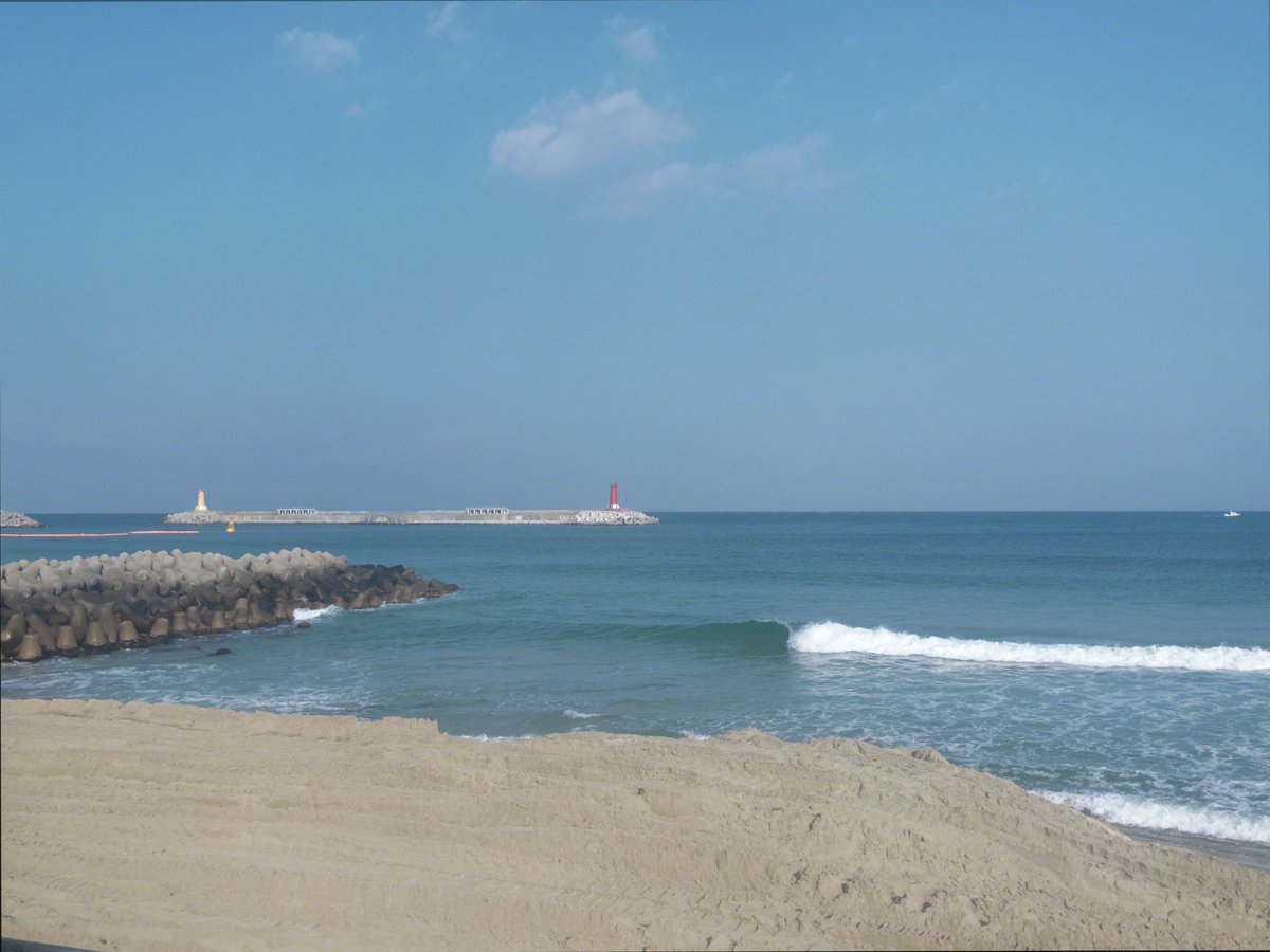 sjfuo . . . tweet media