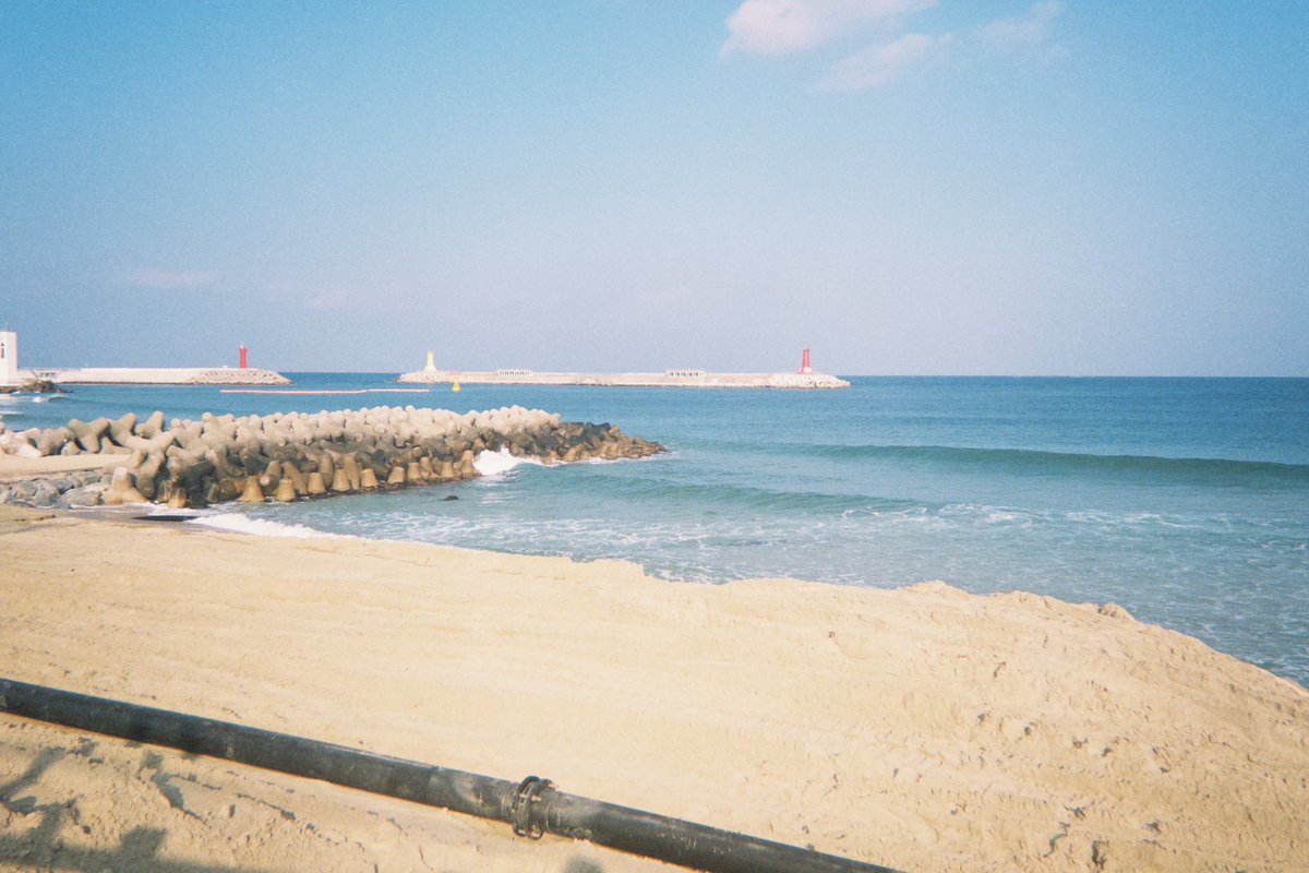 sjfuo . . . tweet media