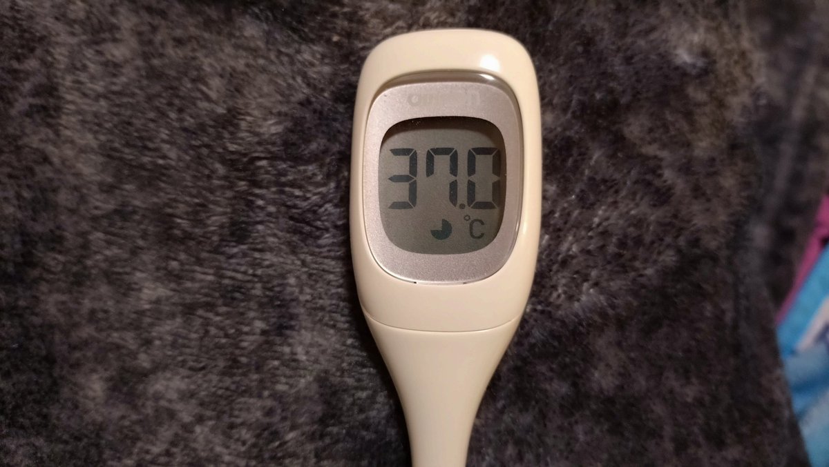 薄毛おじさん🍊 tweet media