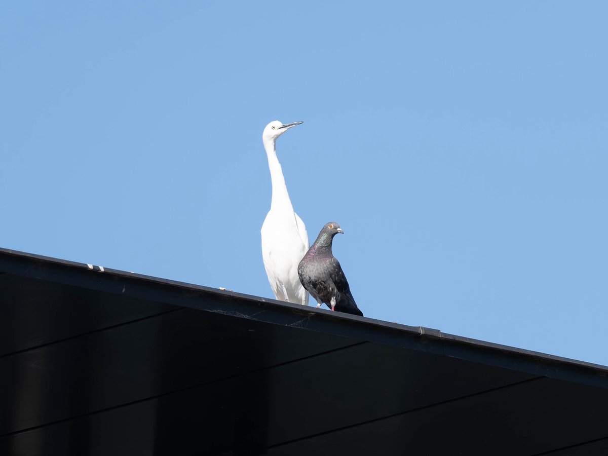 意外に仲が良い