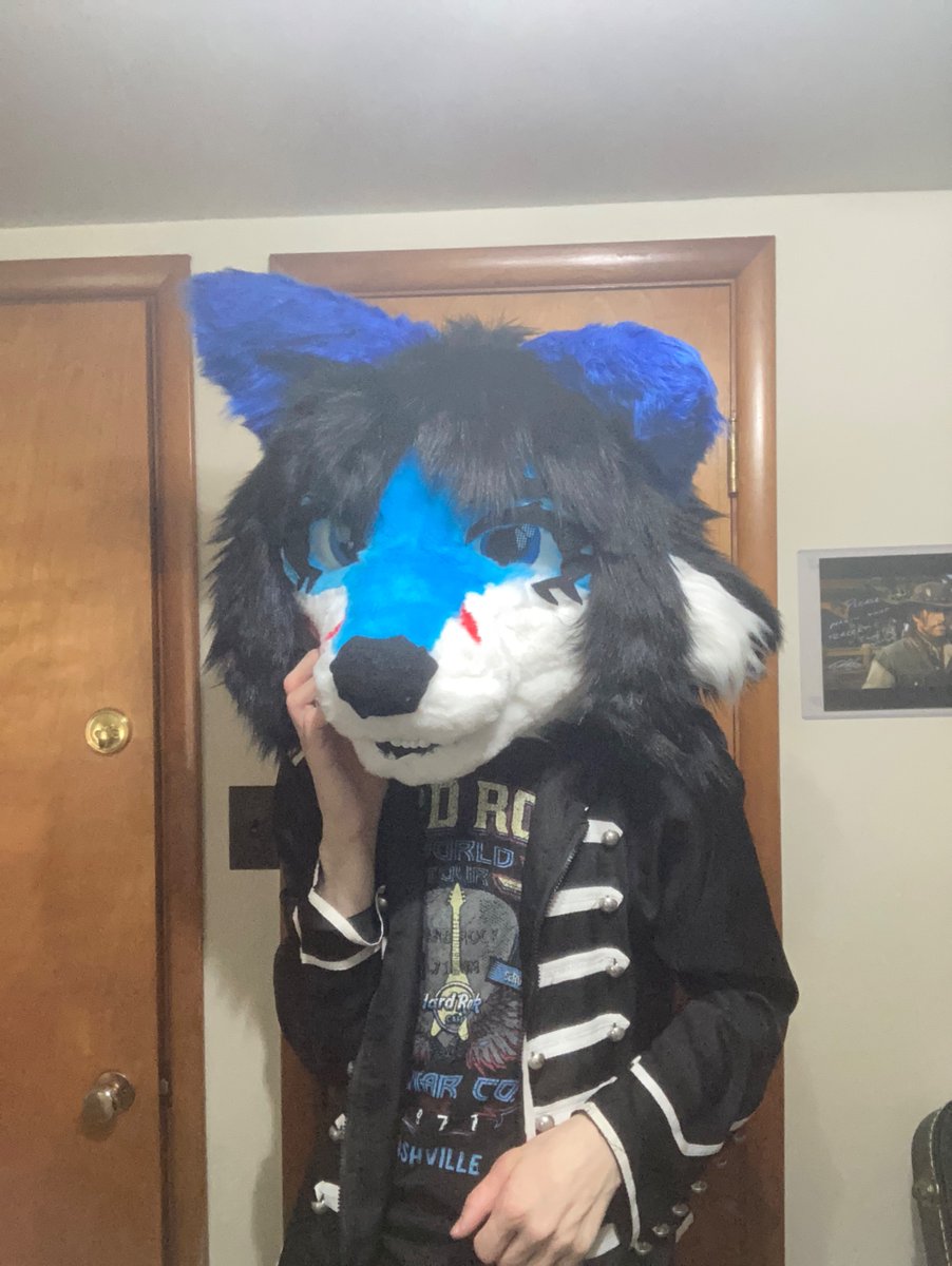 🛸🎸Kate The Space Fox 🪐Ⓐ ⚡ tweet media