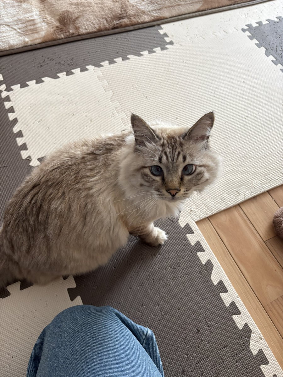 あんみつ🍓 (@anmi2v) / Posts / X