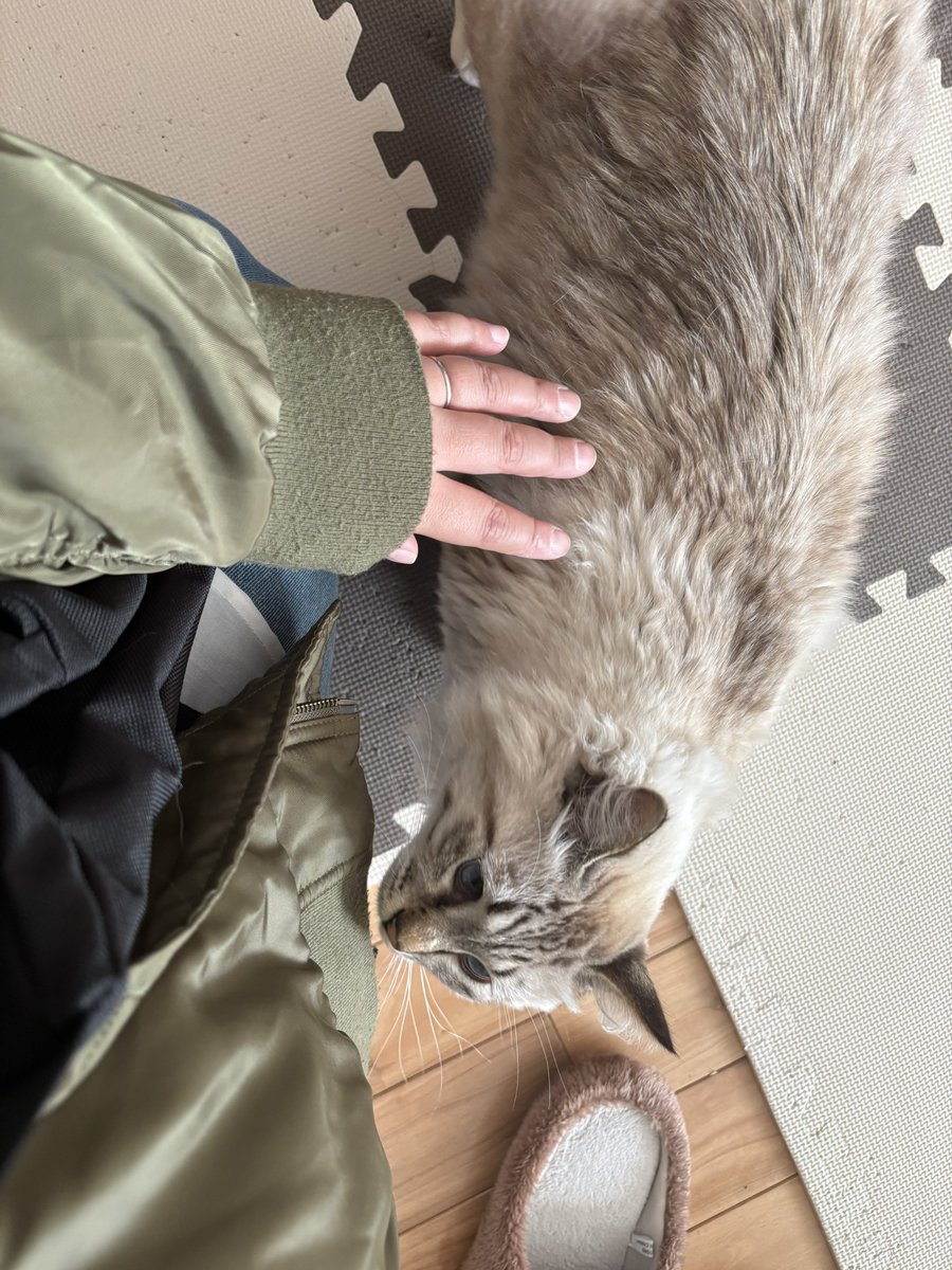 あんみつページ あんみつ🍓 (@anmi2v) / Posts / X